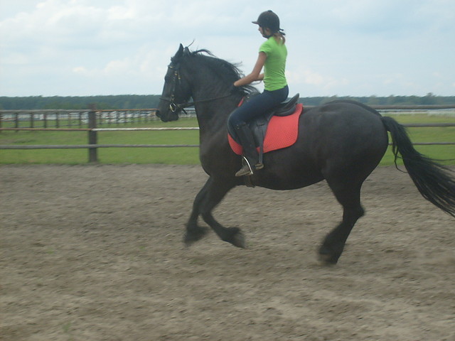 Galop 2!!!