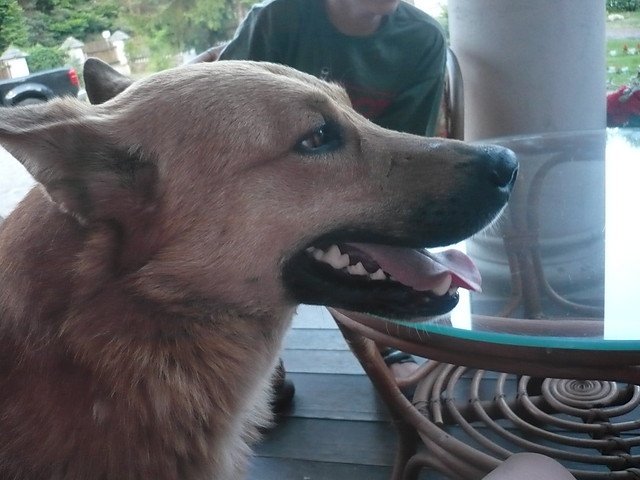 Cezar