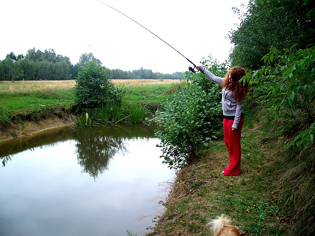 fiszink.
