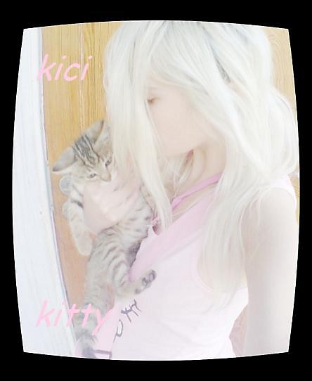  Z moim maym kitty