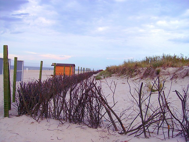 Jastarnia 2008