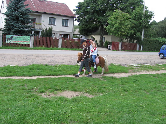 oprowadzanki na kucu