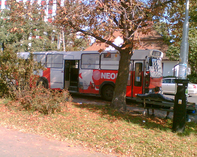 Jelcz M11 #48