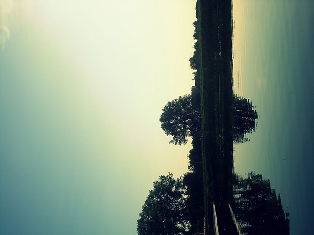 *_____________*