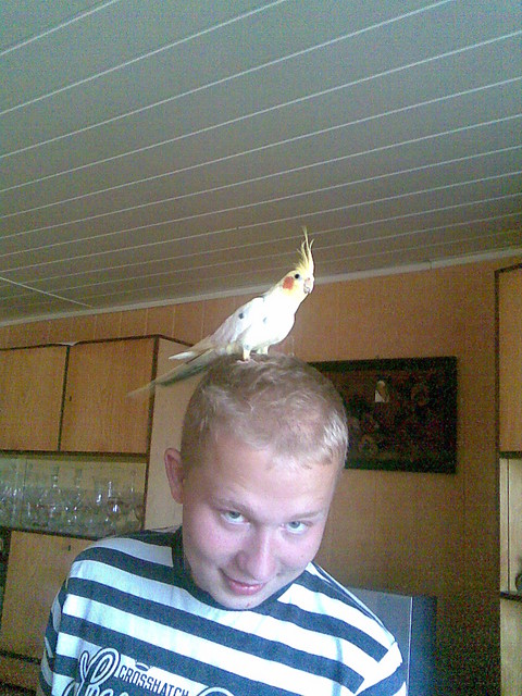 papuzka mojego Aniolka