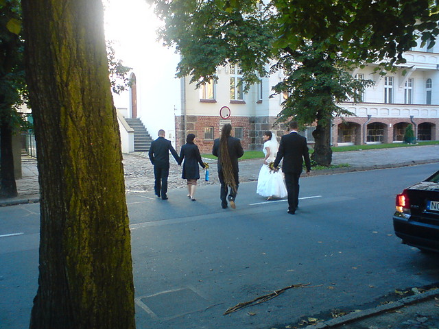 Dugodredziasty pan mody