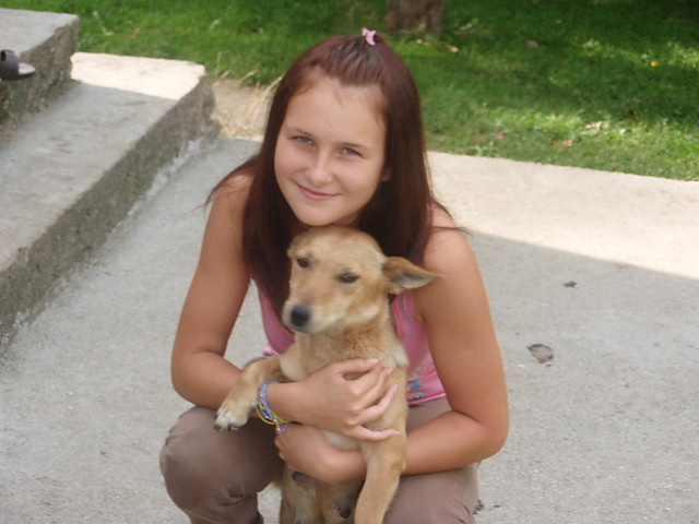 z Blondii ; **