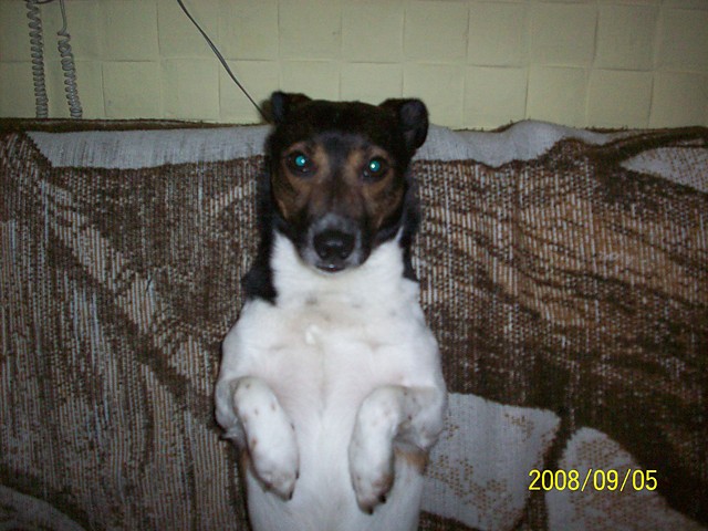 Maxio:*