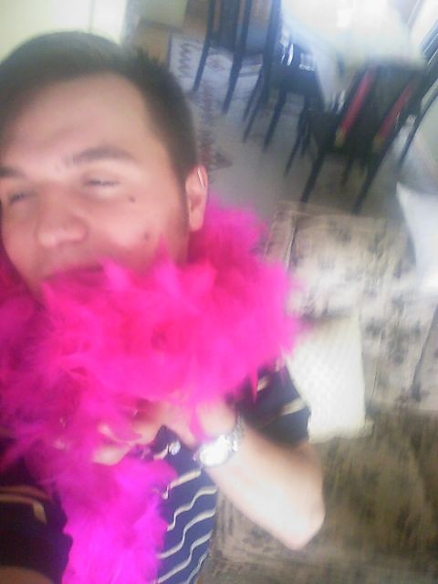 Cekiny, boa z pir