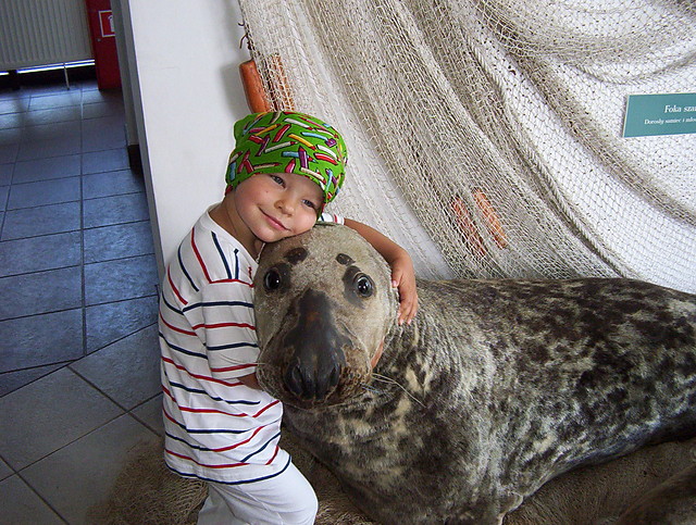 Jastrzbia Gra 2008