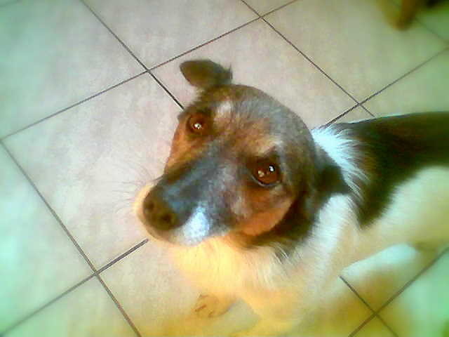 Charlie  ;** 