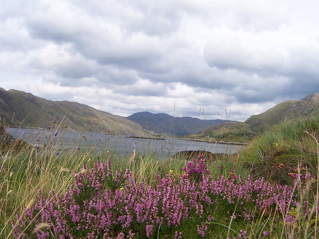 Loch Linnhe