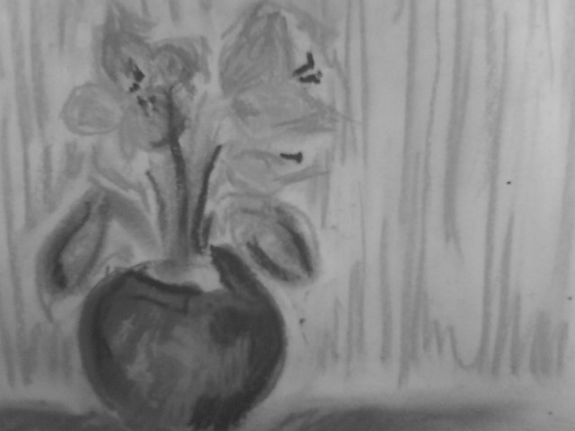 Martwa natura xDD
