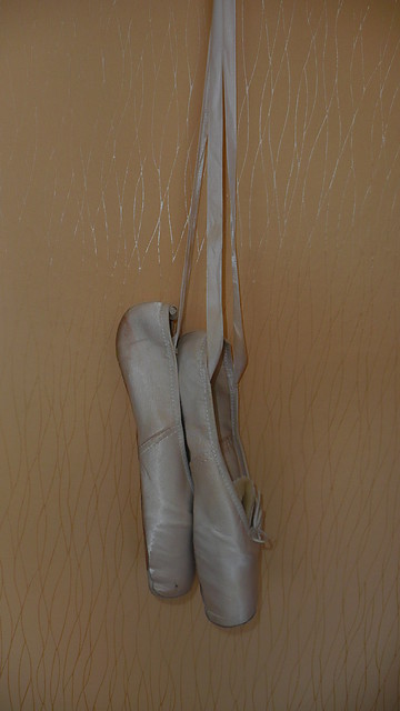 Moje pointy