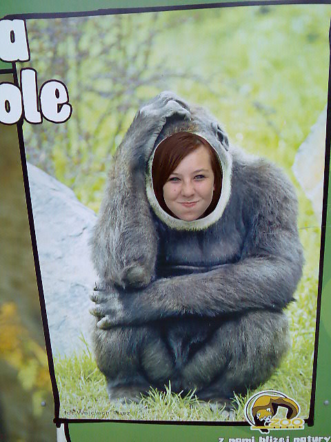 ZoO :PP