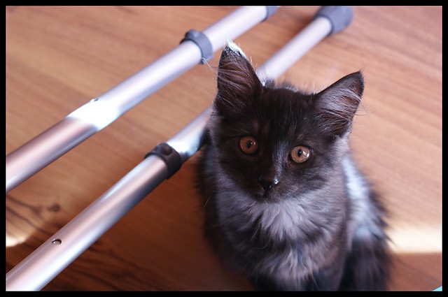 Pixel :)