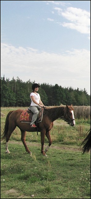 Konisie :)