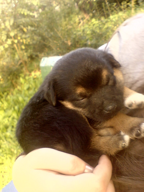 Tilla :*