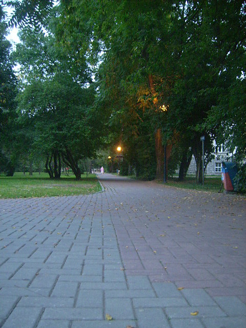 kostka brukowa.  ^ ^