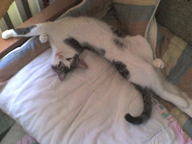 hehe ;P