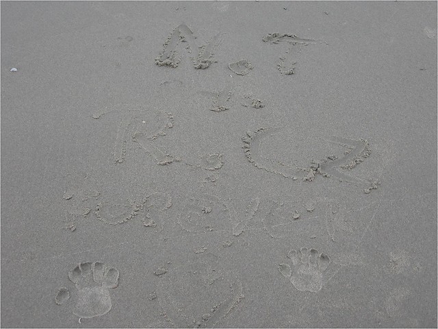 ...Here Without You...
