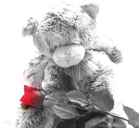Kocham Cie:**