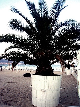 bugaria.