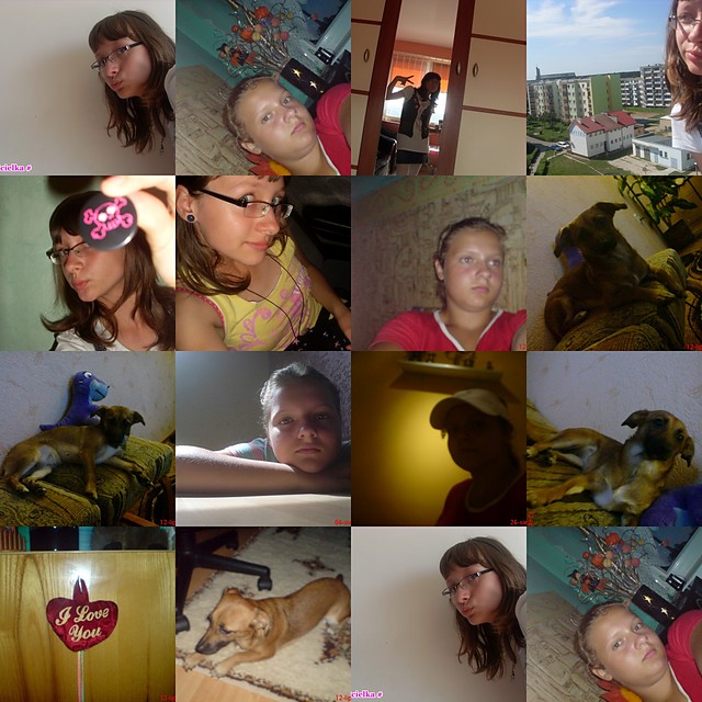 Siemanko pies Ja i Roksana:*:*:*