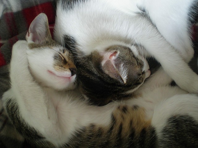 I love 