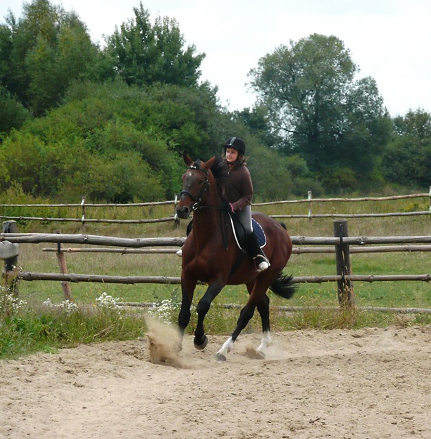 Nasz galop;)