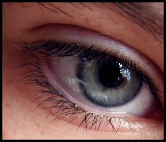 `eye angel .. 