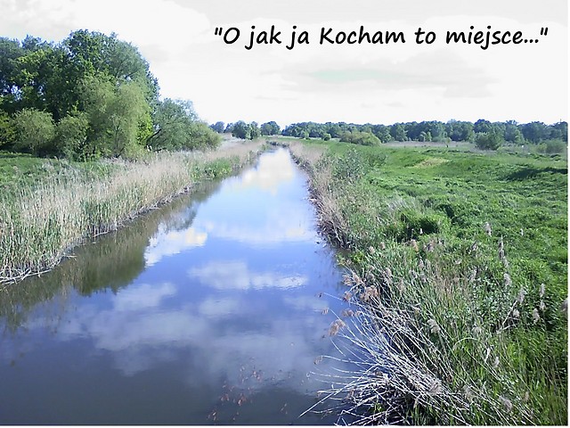 Jak Ja Kocham...