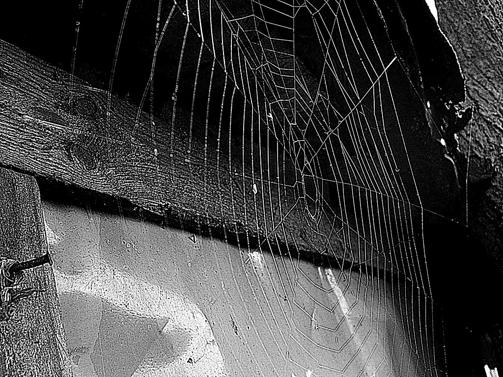 Spider - off