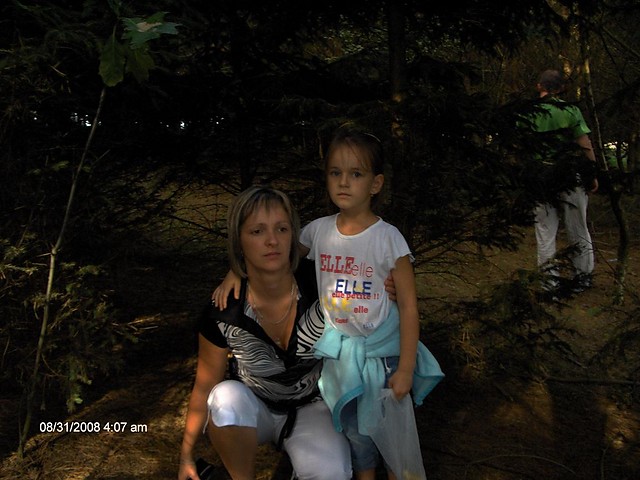 W lesie