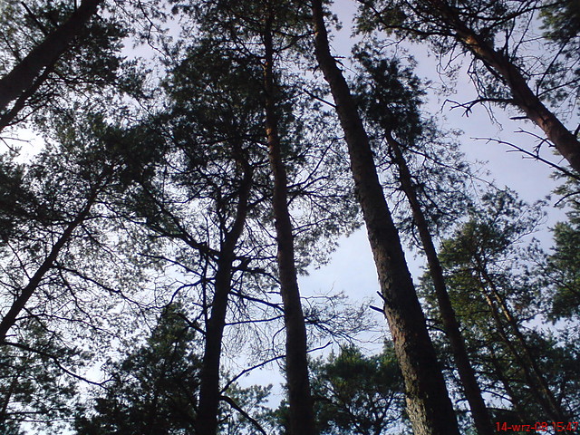 Ulubiona perspektywa