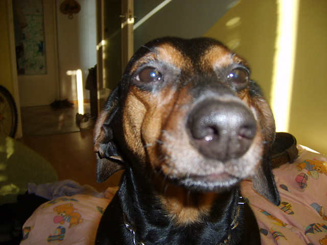 Diana :)