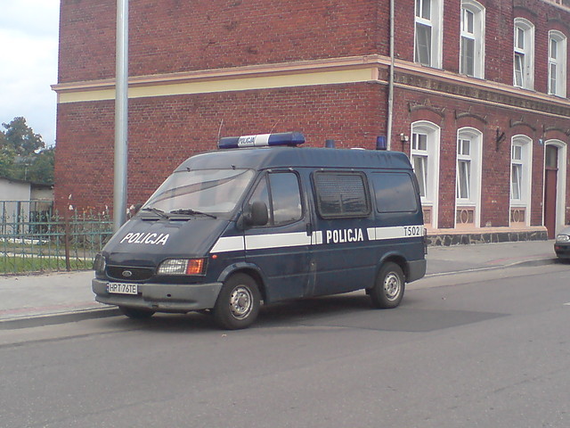 ZOBACZONE PSY PO SZKOLE