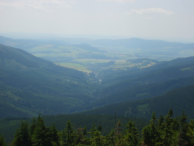 ze nieniaka
