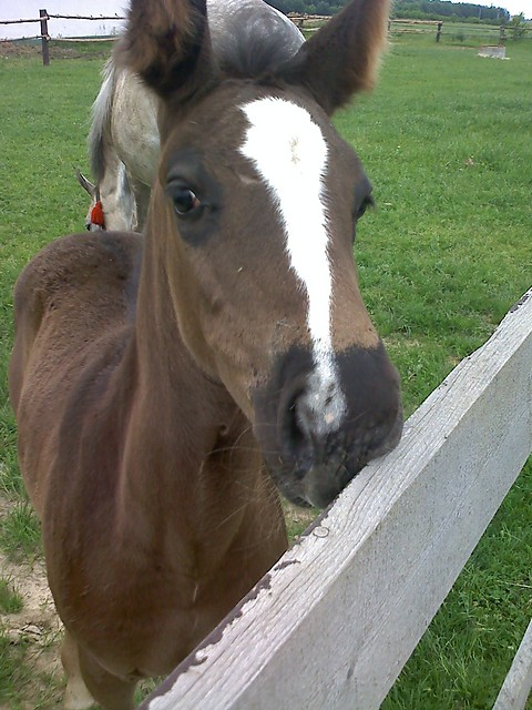 Marion:]