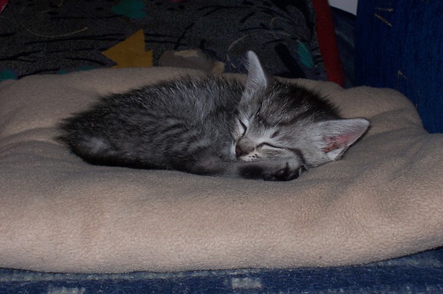 pica Lena :)