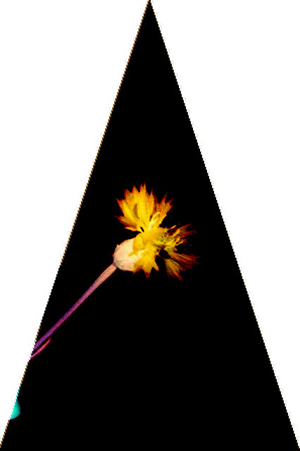 4.