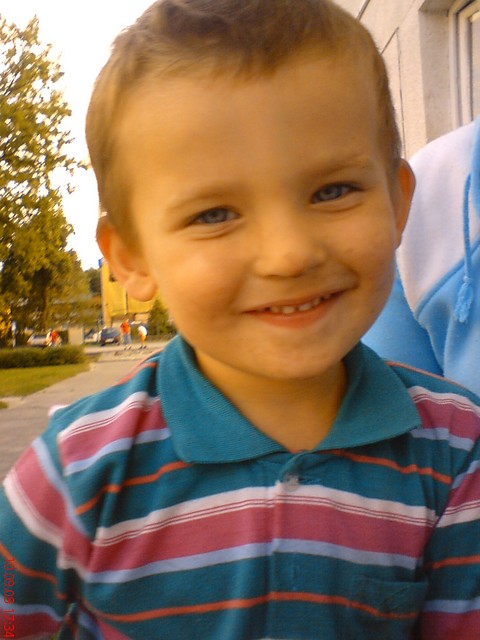 danio:]