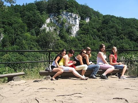 Wspomnienia ;**