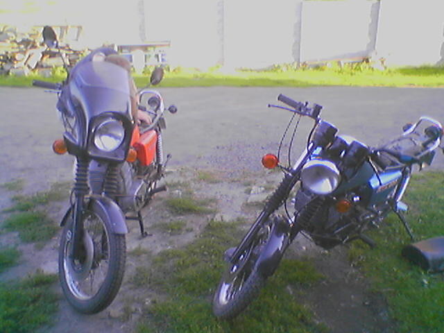 MZ ETZ 250 83&88