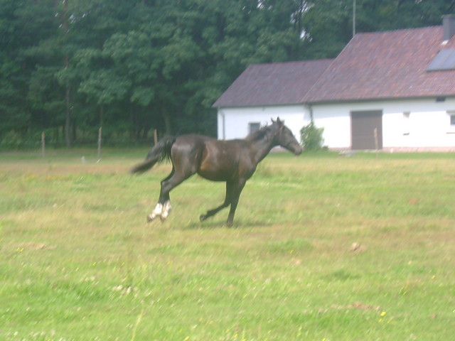 Becik
