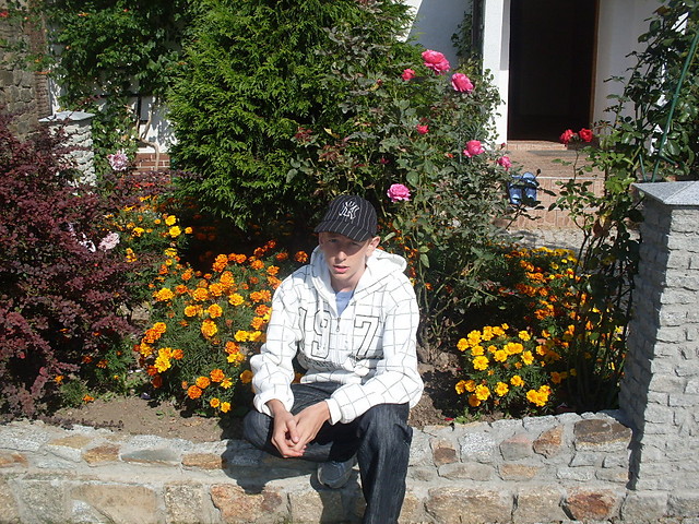 *+*+*+*+*+DAWID*+*+*+*+