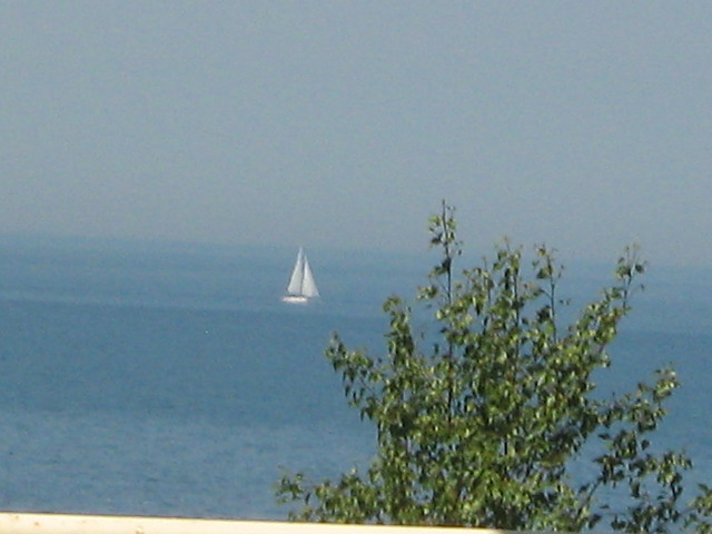 drzewka ;}