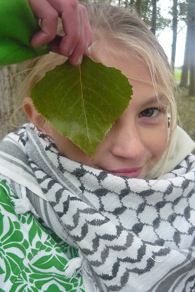 Czerwona Stokrotka.