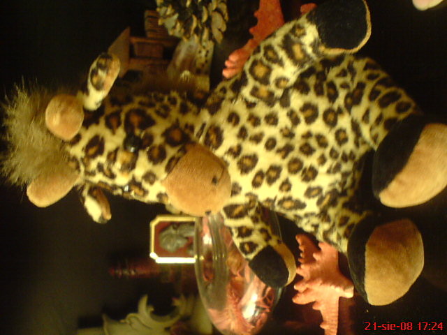 Wandzia ; **