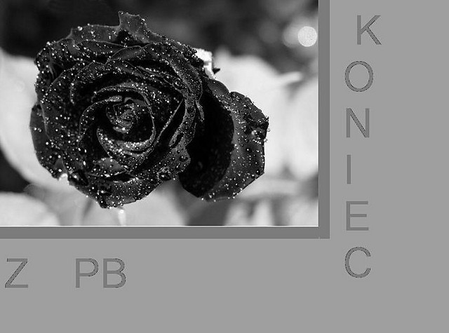 kONIEC Z pb